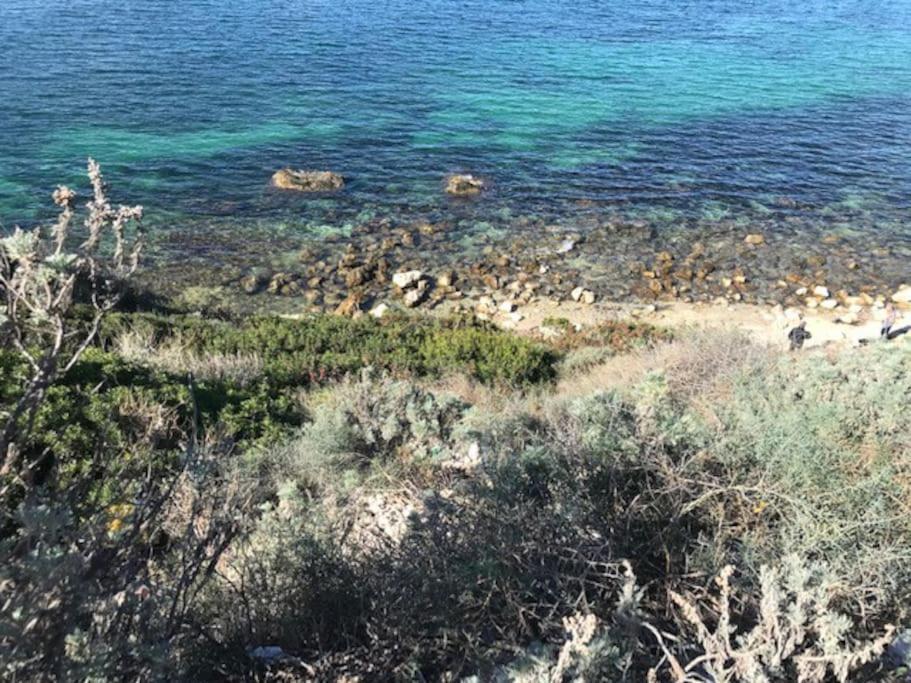 Celeste * Cagliari